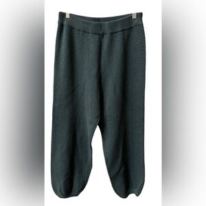 Free People Beach Hailee Knit Pants in Balsam 100% Cotton Jogger BNWT Size Small